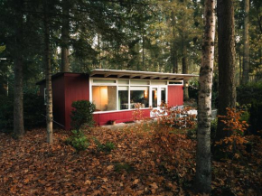 Natuurhuisje het Jagertje